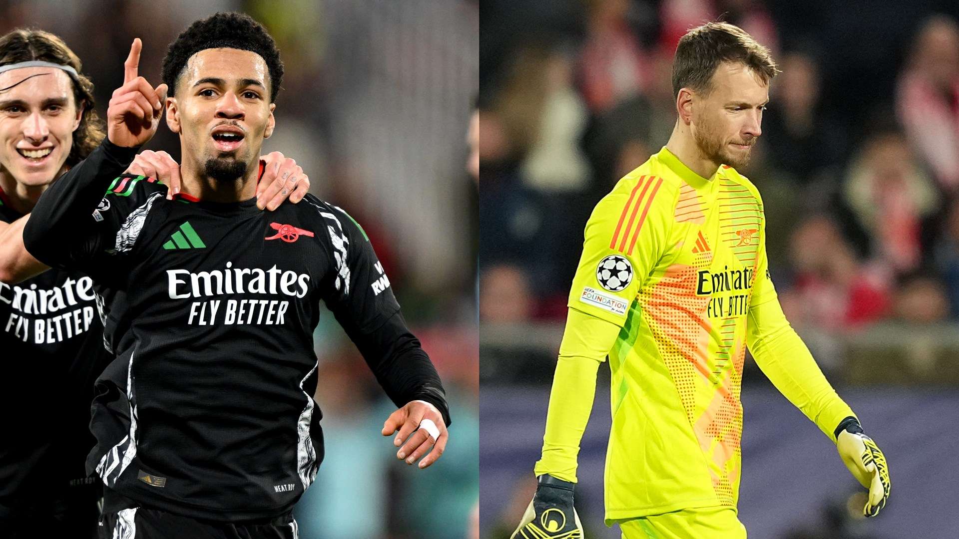 的观赏性以 的观赏性以