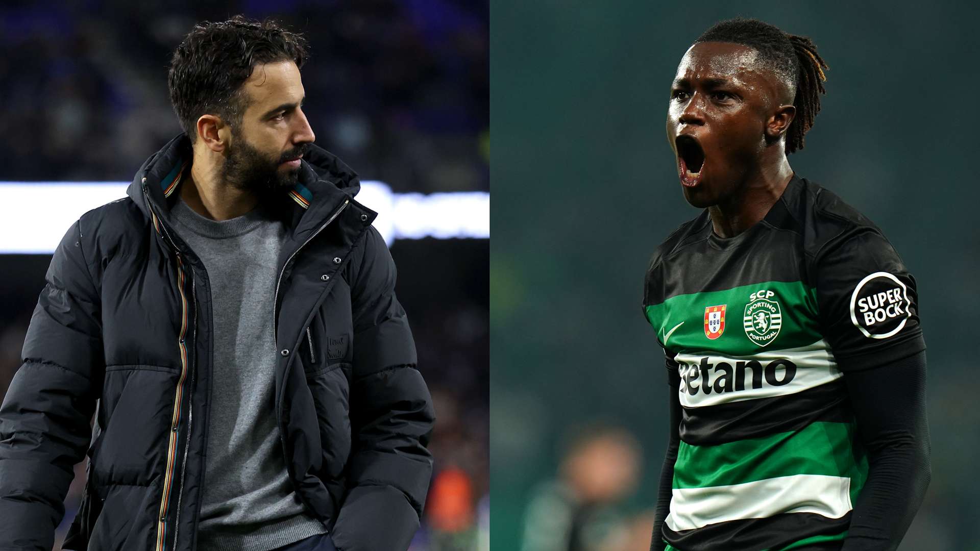 沃尔夫为科 沃尔夫为科